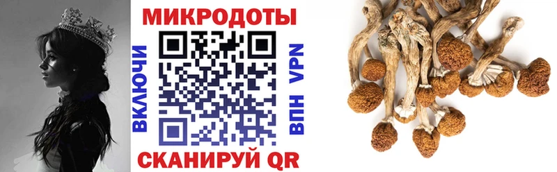 Галлюциногенные грибы прущие грибы  сайты даркнета формула  Княгинино 
